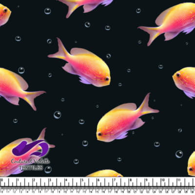 Colorful Tropical Fish on Black Background