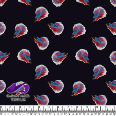 Colorful Siamese Fighting Fish on Black Background