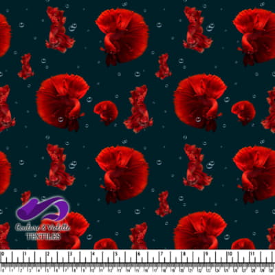 Poisson combattant siamois rouge avec des bulles sur fond noir