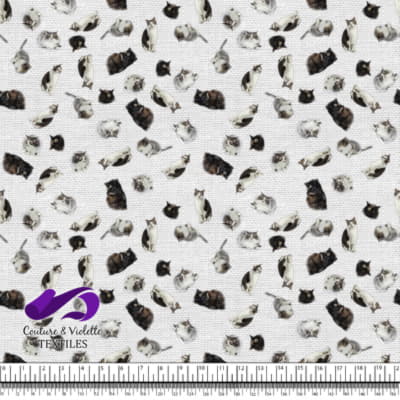 Cat  - Mademoiselle on white texture