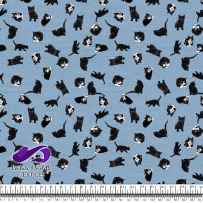 Black cat - Cats on clear sky blue texture