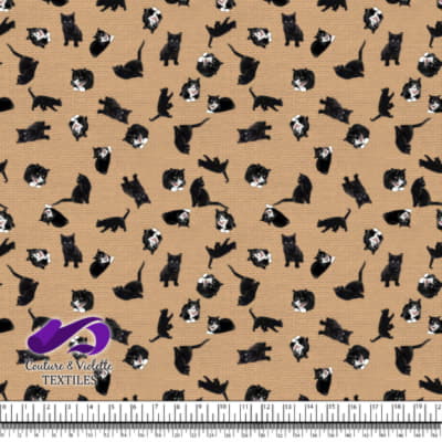 Black cat - Cats on desert mist texture