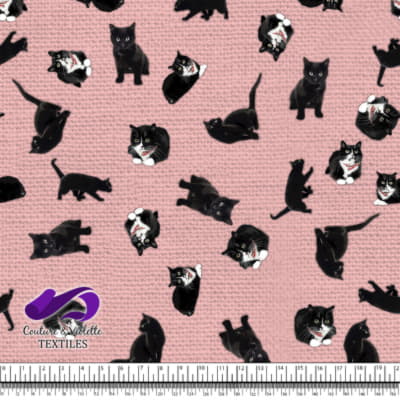 Black cat - Cats on first blush pink texture