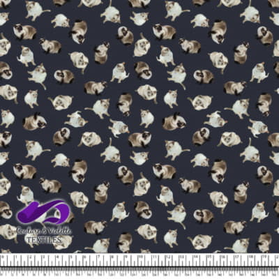 Siamese Cat - After midnight blue