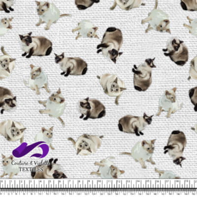 Chat Siamois - Blanc