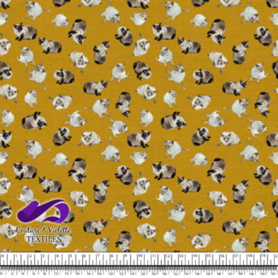 Chat Siamois - Jaune Doré