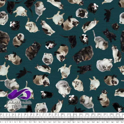 Cat - Cattery on deep teal texture