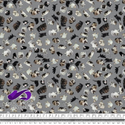 Cat - Cattery on ultimate gray texture