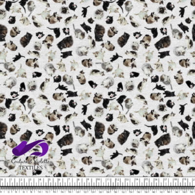 Cat - Cattery on white texture