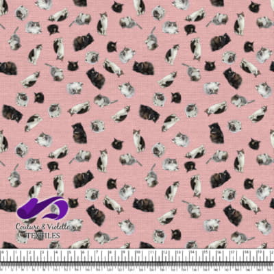 Cat  - Mademoiselle on first blush pink texture