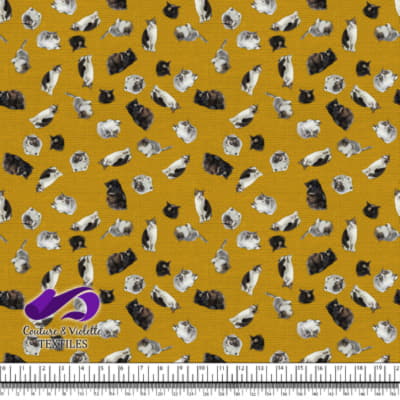 Cat  - Mademoiselle on golden yellow texture