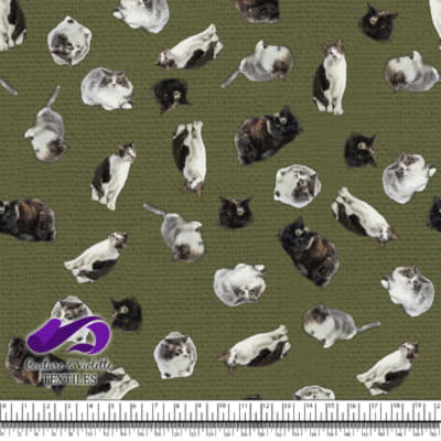 Cat  - Mademoiselle on olive texture