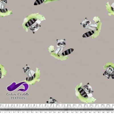 Petits animaux - Raton laveur - Silver cloud