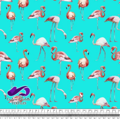 Tropical - Flamants roses - Bleu tiffany