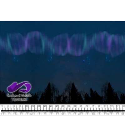 Night sky - Forest aurora borealis with Purple aurora