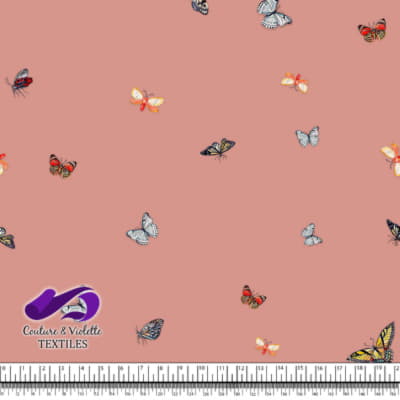 Butterflies - Minimalist - Desert flower