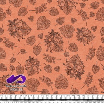 Monstera - Trait noir - Coral