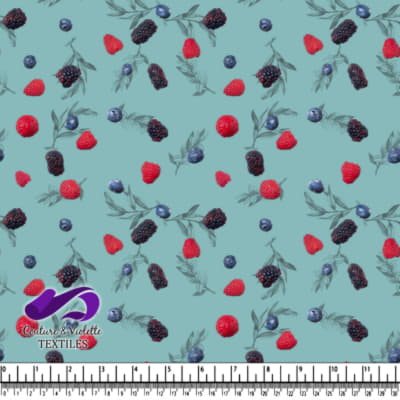 Fruit salad - Small fruits - Dusty aqua